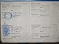 2001 Рысь 440, серый, 290000 рублей - вид 8