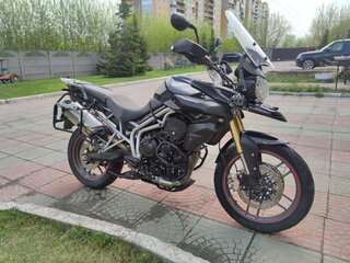 2011 Triumph Tiger 800, чёрный, 549000 рублей, вид 1