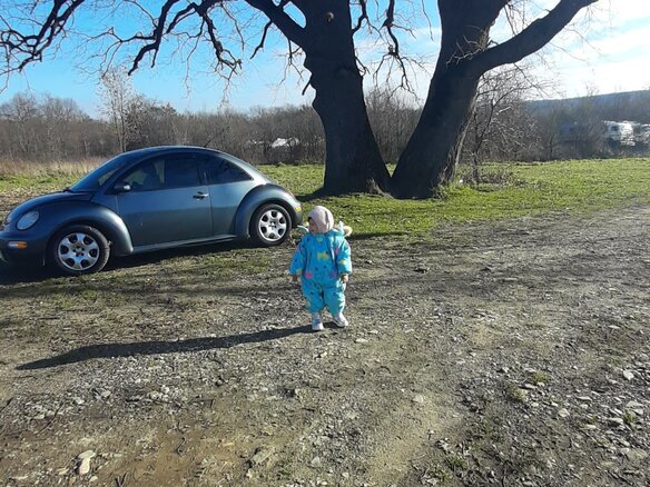 2003 Volkswagen Beetle I (A4), серый, 700000 рублей - вид 8