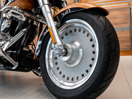 2008 Harley-Davidson Fat Boy, золотистый, 1300000 рублей, вид 5