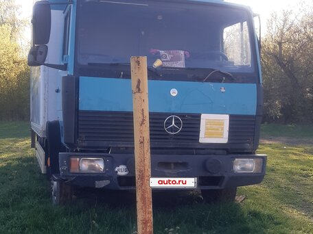 1994 Mercedes-Benz 811D, зелёный, 700000 рублей, вид 1