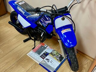 2022 Yamaha PW50/PW80, синий, 155000 рублей, вид 2