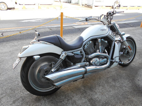 2003 Harley-Davidson V-Rod, белый, 800000 рублей, вид 3