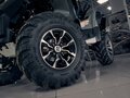 2025 Stels ATV-800 Guepard Trophy, серый, 1170000 рублей - вид 8