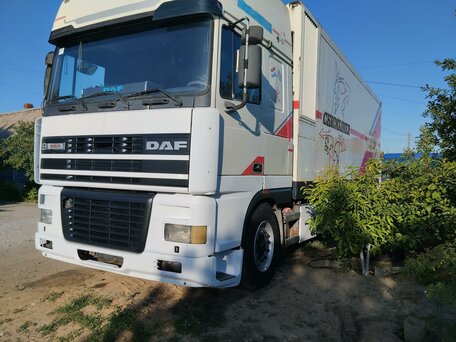 1999 DAF XF 95, белый, 1999999 рублей, вид 4