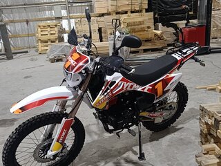 2025 Irbis TTR 250, красный, 105000 рублей, вид 4