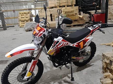 2025 Irbis TTR 250, красный, 105000 рублей, вид 4