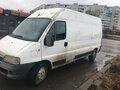 2012 Fiat Professional Ducato, белый, 850000 рублей
