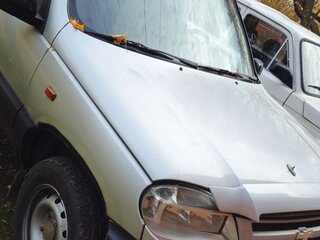 2004 Chevrolet Niva I, серый, 250000 рублей, вид 2
