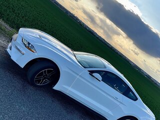 2019 Ford Mustang VI Рестайлинг, белый, 2300000 рублей, вид 5