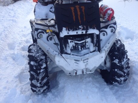 2012 Stels ATV-800, чёрный, 520000 рублей, вид 4