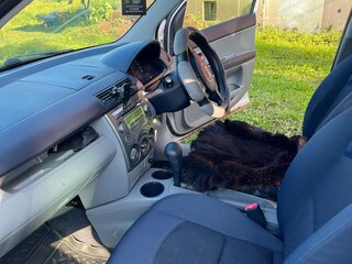 2003 Mazda Demio II (DY), белый, 320000 рублей, вид 5