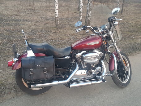 2009 Harley-Davidson Sportster 1200, пурпурный, 780000 рублей, вид 1