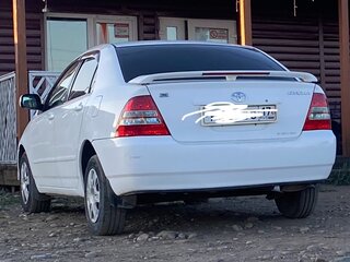 2003 Toyota Corolla Runx IX (E120, E130), белый, 680000 рублей, вид 4
