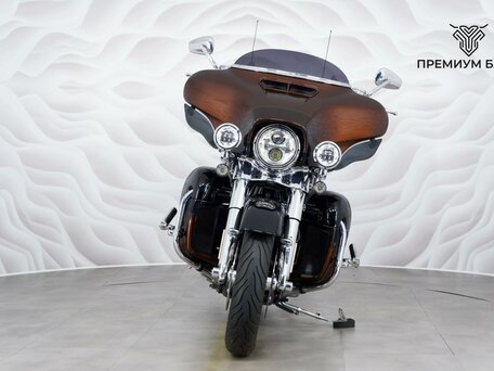 2018 Harley-Davidson CVO, коричневый, 2649000 рублей, вид 4