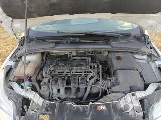 2011 Ford Focus III, белый, 890000 рублей, вид 5