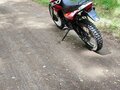 2024 Racer Panther, красный, 130000 рублей - вид 5