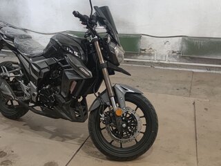 2023 Regulmoto T-Leopard 300, чёрный, 245000 рублей, вид 2