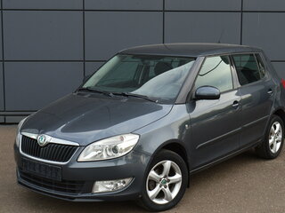 2011 Skoda Fabia II Рестайлинг, серый, 630000 рублей, вид 2