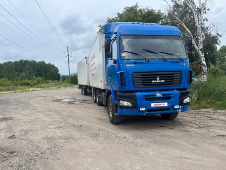 2011 МАЗ 6312, синий, 3874000 рублей, вид 2