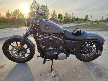 2021 Harley-Davidson Sportster 883, серый, 785840 рублей, вид 4