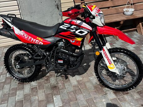 2023 Racer Panther, красный, 135000 рублей, вид 4