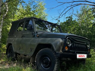 1987 УАЗ 3151, зелёный, 245000 рублей, вид 4