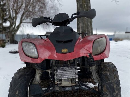 2008 Linhai ATV200, красный, 150000 рублей, вид 3