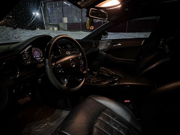 2006 Mercedes-Benz CLS 350 I (C219), серебристый - вид 9