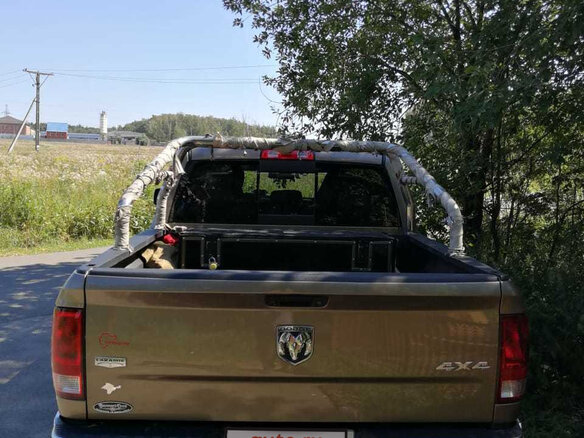 2010 Dodge RAM IV (DS/DJ), коричневый - вид 13