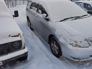 2002 Toyota Corolla Runx IX (E120, E130), серебристый, 450000 рублей, вид 3