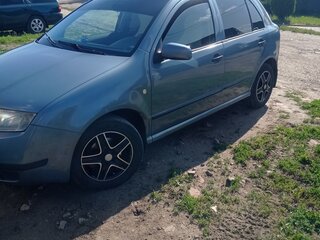 2004 Skoda Fabia I Рестайлинг, серый, 290000 рублей, вид 1