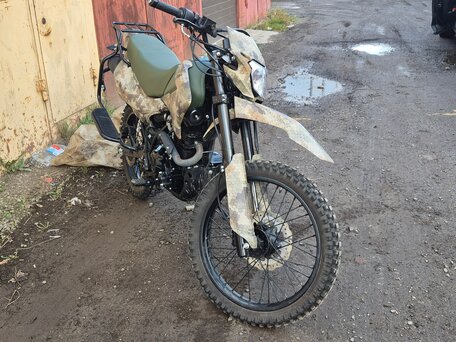 2025 Racer RC300B-F Panther PRO, зелёный, 100000 рублей, вид 2