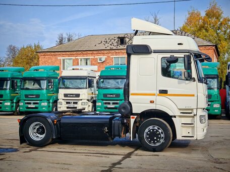 2020 КамАЗ 5490, белый, 2100000 рублей, вид 4