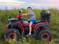 2025 Alfer VR 250, красный, 165000 рублей - вид 1