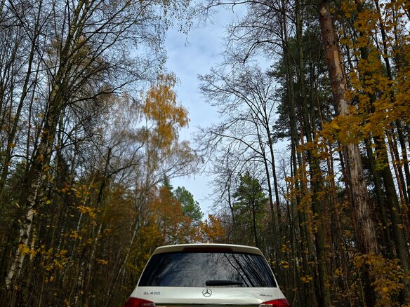 2015 Mercedes-Benz GL-Класс 400 II (X166), белый, 2900000 рублей - вид 7