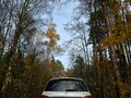 2015 Mercedes-Benz GL-Класс 400 II (X166), белый, 2900000 рублей - вид 7