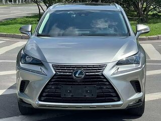 2018 Lexus NX 200 I Рестайлинг, серый, 2680002 рублей, вид 2