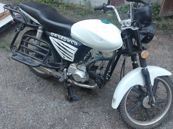 2022 Racer Alpha, белый, 68000 рублей