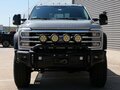 2025 Ford F-250, серебристый, 15980000 рублей - вид 3