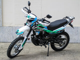 2025 Racer Panther, зелёный, 135000 рублей, вид 2