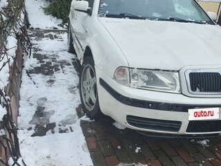 2004 Skoda Octavia I (A4) Рестайлинг, белый, 520000 рублей, вид 2