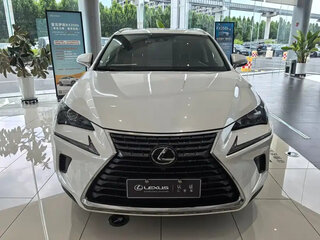 2020 Lexus NX 200 I Рестайлинг, белый, 2480000 рублей, вид 1
