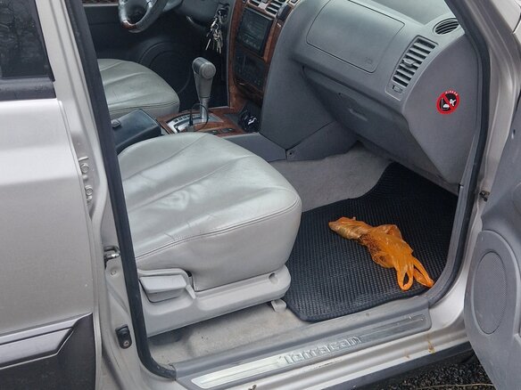 2004 Hyundai Terracan I, серый - вид 11