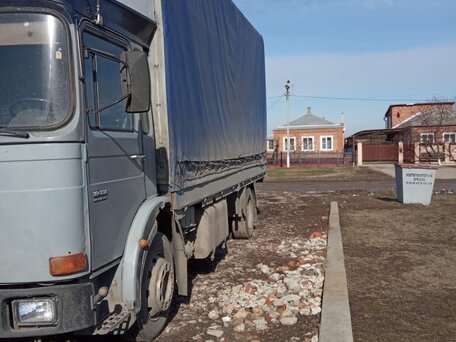 1987 MAN 19, серый, 520000 рублей, вид 4