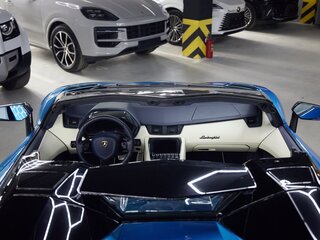 2018 Lamborghini Aventador I Рестайлинг, голубой, 33500000 рублей, вид 5