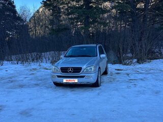 2003 Mercedes-Benz M-Класс 350 I (W163) Рестайлинг, серебристый, 650000 рублей, вид 1