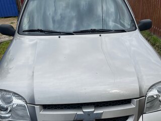 2011 Chevrolet Niva I Рестайлинг, серый, 250000 рублей, вид 1