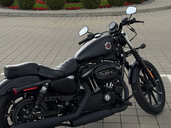 2019 Harley-Davidson Sportster 883, чёрный, 635000 рублей