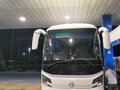 2013 Golden Dragon XML6126, белый, 2599999 рублей
